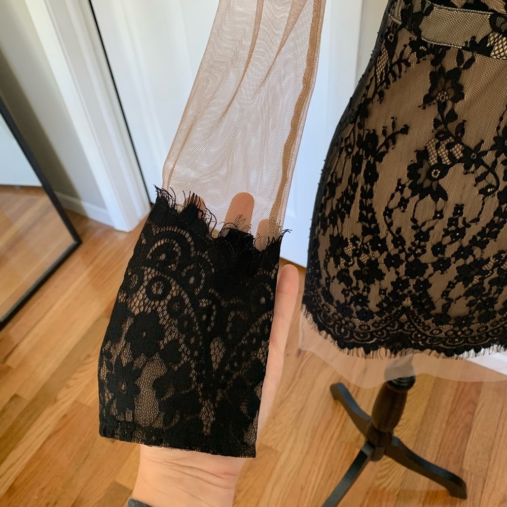 Black Lace and Nude Sheer Dress - Picture 2 of 7